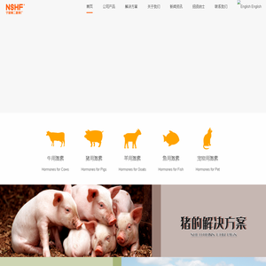 NSHF 宁波第二激素厂