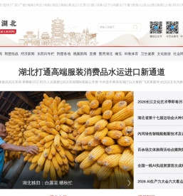 中新网湖北 湖北新闻网