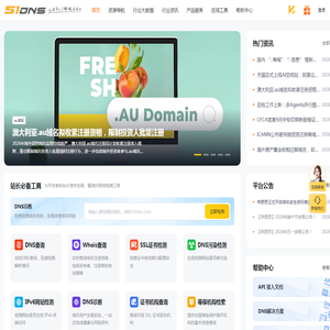 帝恩思-DNS-域名解析-域名注册-SSL证书-DNS综合服务商
