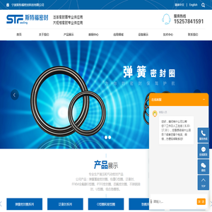 宁波斯特福密封科技有限公司-车氏密封-,弹簧蓄能密封圈-格莱圈