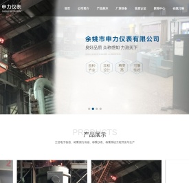 余姚市申力仪表有限公司