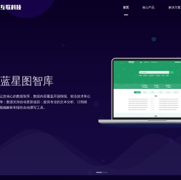 渊视互联科技——人工智能AI科技型技术公司；深蓝星图数据智库；敏感数据安全监测与防护。