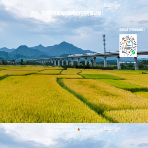 芜湖荣森网络科技有限公司