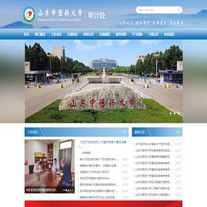山东中医药大学审计处
