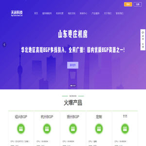 首页 - 天运IDC  服务器租用 传奇服务器 BGP机房