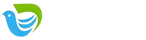 数字化碳管理
